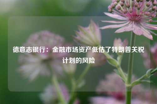 德意志银行：金融市场资产低估了特朗普关税计划的风险