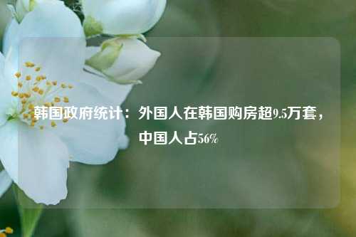 韩国政府统计：外国人在韩国购房超9.5万套，中国人占56%