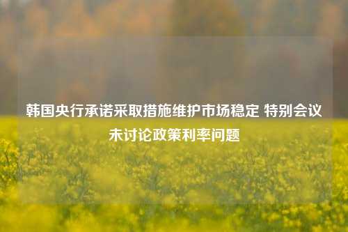 韩国央行承诺采取措施维护市场稳定 特别会议未讨论政策利率问题