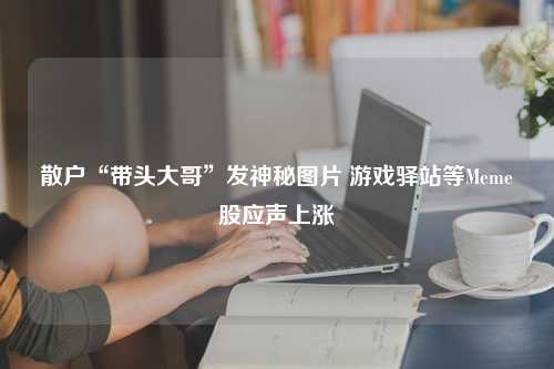 散户“带头大哥”发神秘图片 游戏驿站等Meme股应声上涨