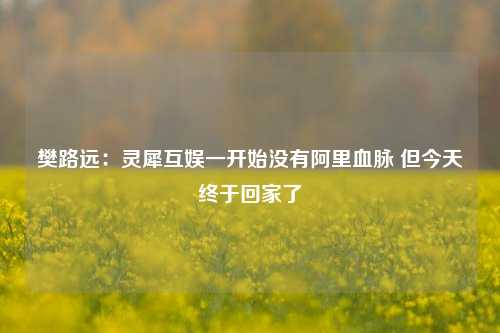 樊路远：灵犀互娱一开始没有阿里血脉 但今天终于回家了