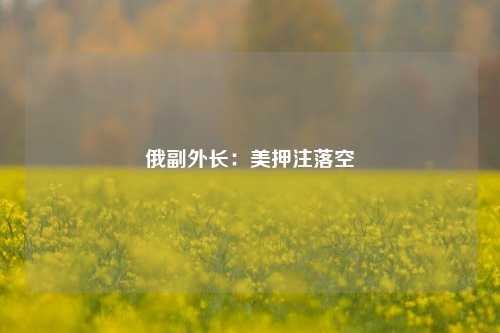 俄副外长：美押注落空