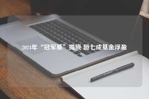 2024年“冠军基”揭晓 超七成基金浮盈