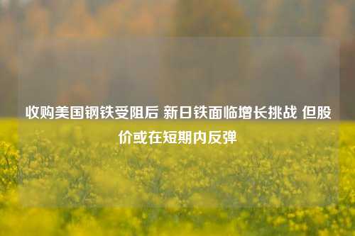 收购美国钢铁受阻后 新日铁面临增长挑战 但股价或在短期内反弹