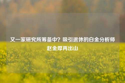 又一家研究所筹备中？吸引退休的白金分析师赵金厚再出山