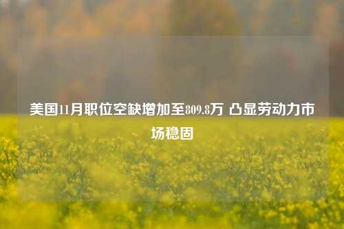 美国11月职位空缺增加至809.8万 凸显劳动力市场稳固