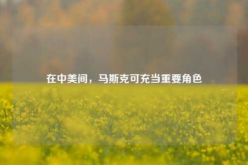 在中美间，马斯克可充当重要角色