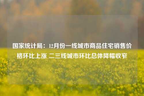 国家统计局：12月份一线城市商品住宅销售价格环比上涨 二三线城市环比总体降幅收窄