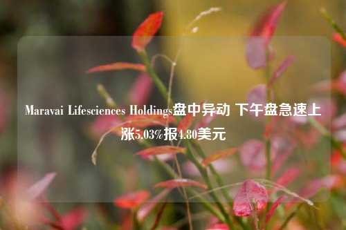 Maravai Lifesciences Holdings盘中异动 下午盘急速上涨5.03%报4.80美元