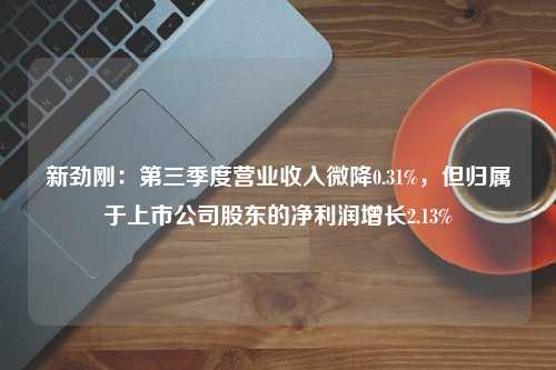 新劲刚：第三季度营业收入微降0.31%，但归属于上市公司股东的净利润增长2.13%