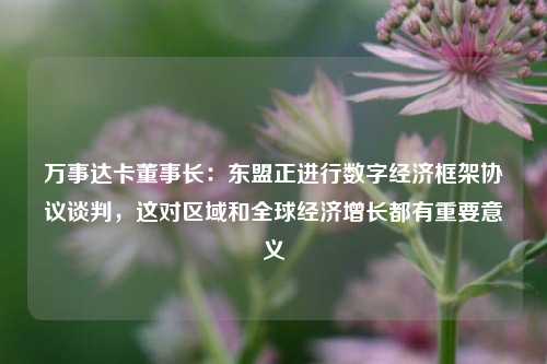 万事达卡董事长：东盟正进行数字经济框架协议谈判，这对区域和全球经济增长都有重要意义