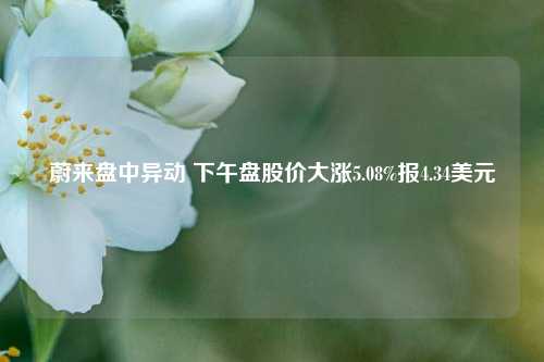 蔚来盘中异动 下午盘股价大涨5.08%报4.34美元