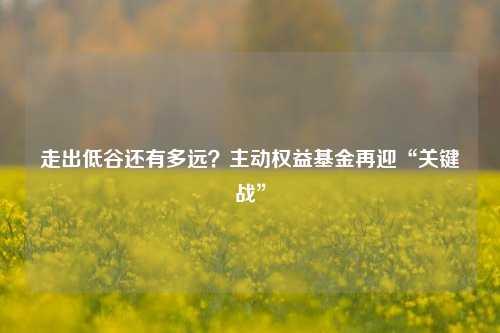 走出低谷还有多远？主动权益基金再迎“关键战”