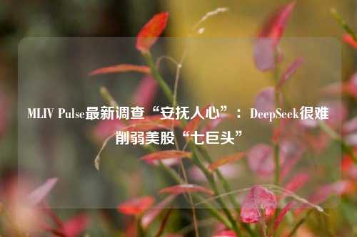 MLIV Pulse最新调查“安抚人心”：DeepSeek很难削弱美股“七巨头”