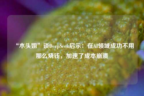 “木头姐”谈DeepSeek启示：在AI领域成功不用那么烧钱，加速了成本崩溃