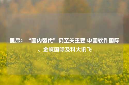 里昂：“国内替代”仍至关重要 中国软件国际、金蝶国际及科大讯飞