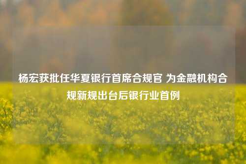 杨宏获批任华夏银行首席合规官 为金融机构合规新规出台后银行业首例