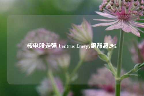 核电股走强 Centrus Energy飙涨超29%