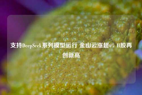 支持DeepSeek系列模型运行 金山云涨超6% H股再创新高