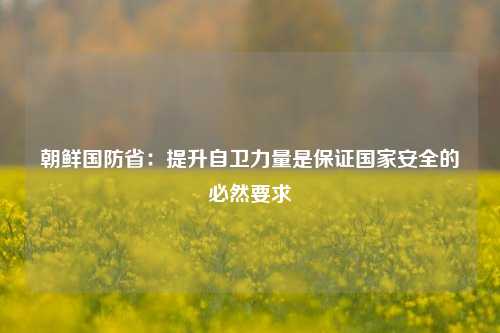 朝鲜国防省：提升自卫力量是保证国家安全的必然要求