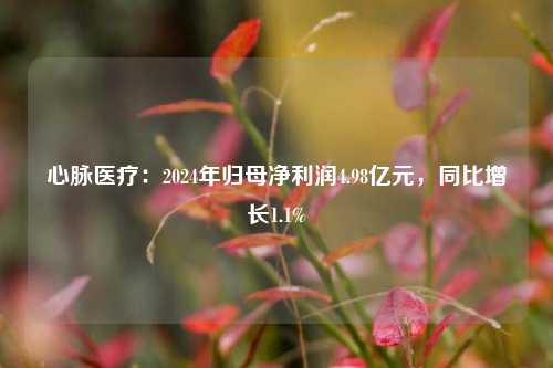 心脉医疗：2024年归母净利润4.98亿元，同比增长1.1%