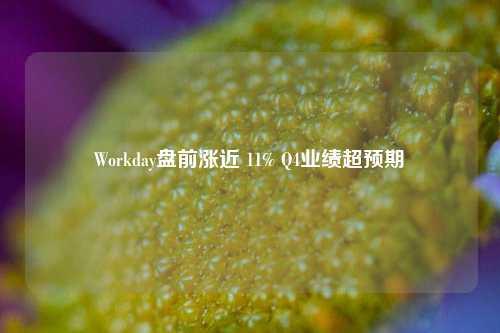 Workday盘前涨近 11% Q4业绩超预期