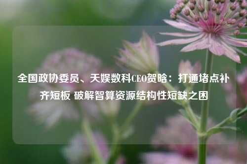 全国政协委员、天娱数科CEO贺晗：打通堵点补齐短板 破解智算资源结构性短缺之困