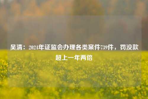 吴清：2024年证监会办理各类案件739件，罚没款超上一年两倍