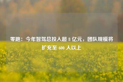 零跑：今年智驾总投入超 8 亿元，团队规模将扩充至 600 人以上