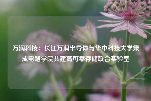 万润科技：长江万润半导体与华中科技大学集成电路学院共建高可靠存储联合实验室