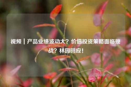 视频｜产品业绩波动大？价值投资策略面临挑战？林园回应！