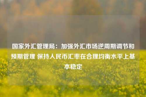 国家外汇管理局：加强外汇市场逆周期调节和预期管理 保持人民币汇率在合理均衡水平上基本稳定